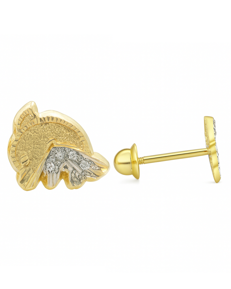 Broqueles de Delfín