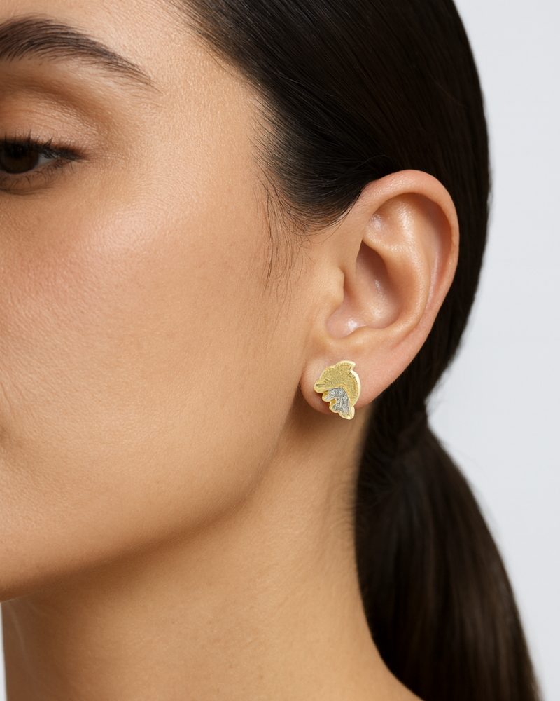 Broqueles de Delfín