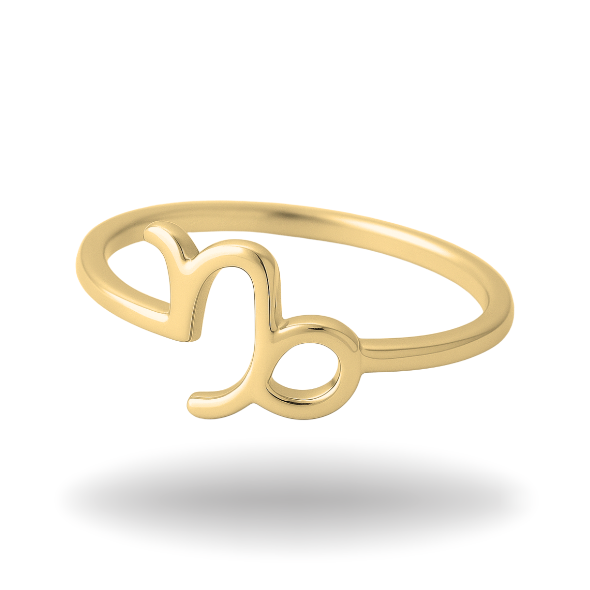 Anillo Capricornio / Tierra