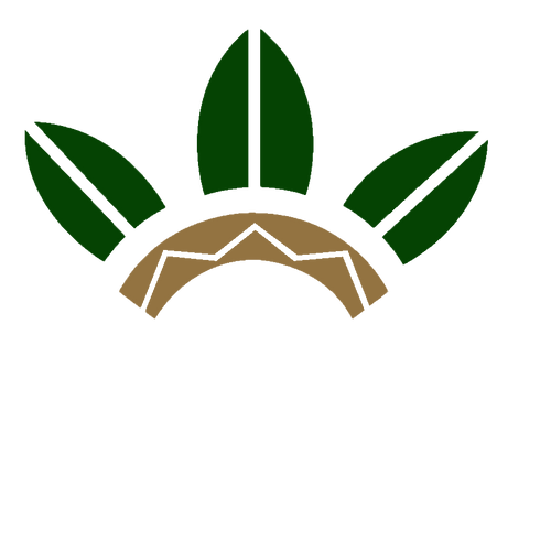 Joyerías México